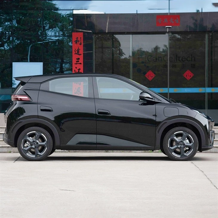 2024 BYD Seagull  Mini Car
