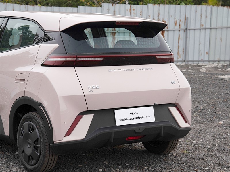 BYD Seagull tail design BYD Seagull tail design